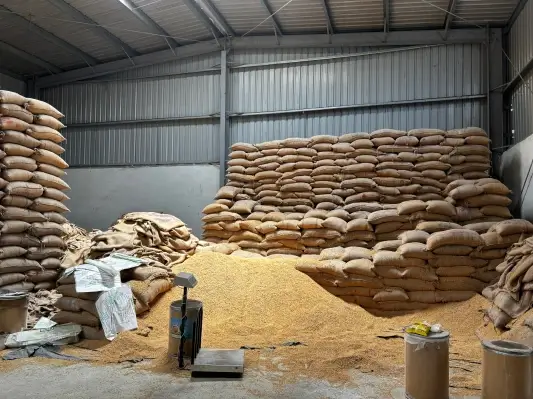 store